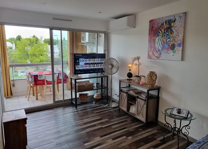 Superbe T2 Tout Confort 3 Etoiles, Entierement Renove Avec Piscine, Parking, Clim, Wifi, Netflix