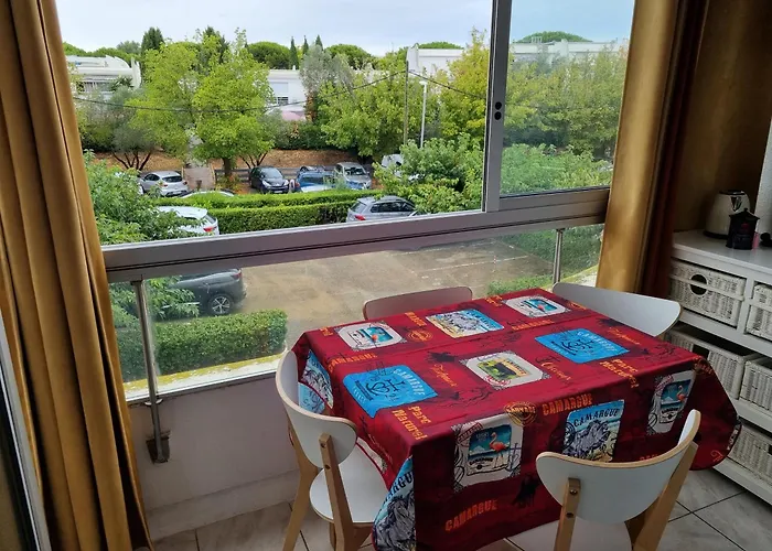 Superbe T2 Tout Confort 3 Etoiles, Entierement Renove Avec Piscine, Parking, Clim, Wifi, Netflix