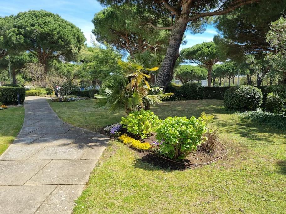 Apartment Superbe T2 Confort 3 Etoiles, Entierement Renove Avec Piscine, Parking, Clim, Wifi, Netflix